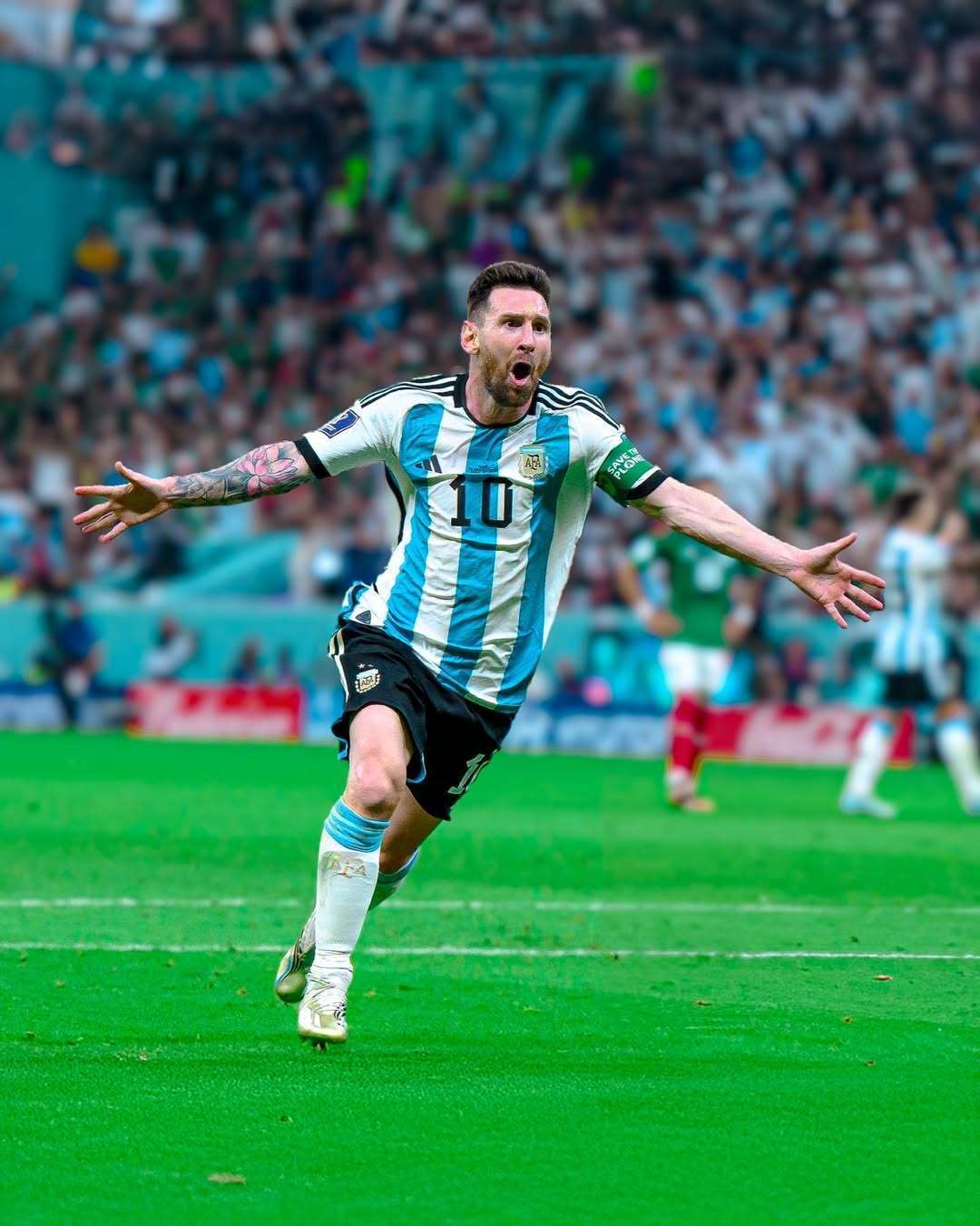 将目光投向 将目光投向